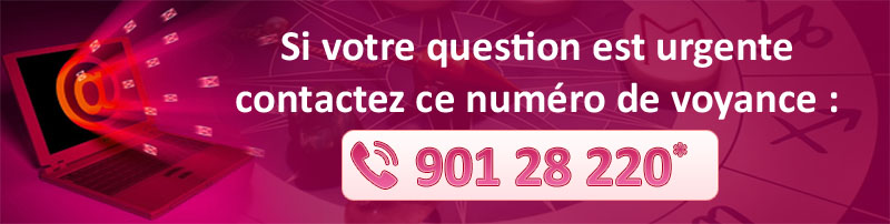 question gratuite medium
